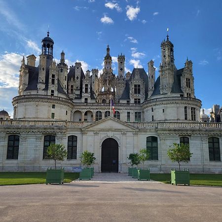 Le Clos De La Deesse La Ferté-Saint-Cyr Exteriör bild