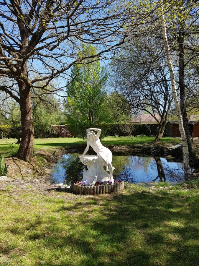 Le Clos De La Deesse La Ferté-Saint-Cyr Exteriör bild