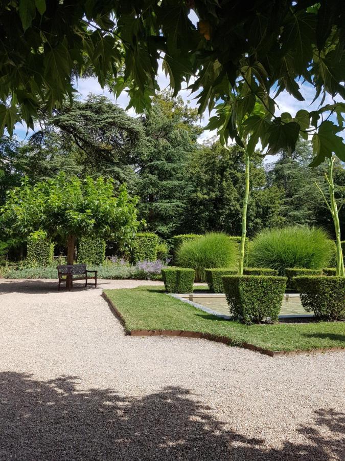 Le Clos De La Deesse La Ferté-Saint-Cyr Exteriör bild